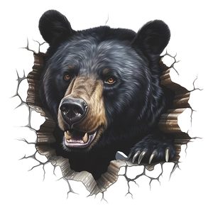 3D realistic black bear head wall sticker bursting through white surface background