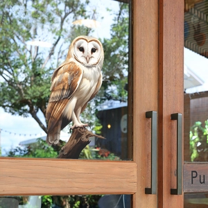 Detailed realistic barn owl static cling window sticker applied on a glass door surface