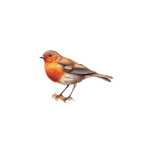 Realistic robin bird on a branch window sticker with static cling and UV protection