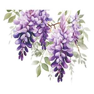 Detail of purple wisteria watercolor floral wall sticker with green leaves for home decor