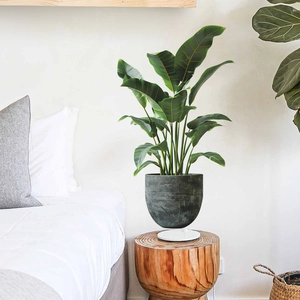 3D Simulation Green Plant Potted Wall Sticker Self Adhesive PVC Waterproof Removable Wall Decal For Living Room Bedroom Home Decor