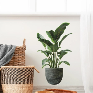 Realistic 3D bird of paradise potted plant wall sticker for Nordic home wall decor