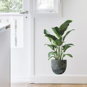 3D realistic indoor green potted plant wall sticker for modern living room home decoration
