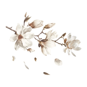White magnolia flower static cling window decal with delicate petals and buds