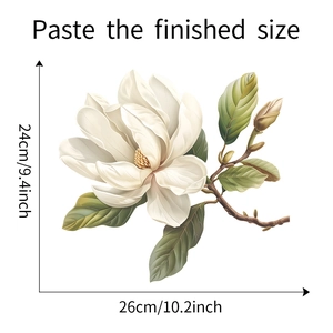 Detail showing the finished size of the white magnolia glass window sticker, 24x26cm