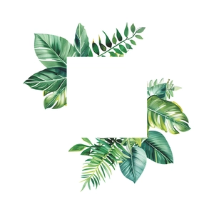 Tropical green plants wall sticker with monstera leaves around a square white frame