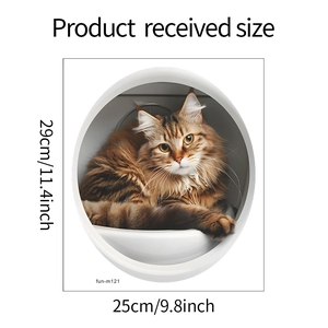 Detailed dimension guide for 3D cartoon cat wall sticker showing 25cm by 29cm measurements