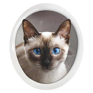 Minimalist cartoon Siamese cat toilet sticker with striking blue eyes on white background
