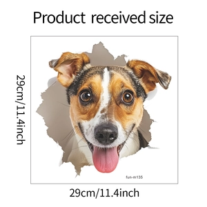 Detailed dimensions showing 29x29cm Jack Russell Terrier 3D wall sticker with broken wall effect
