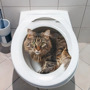 Funny self-adhesive bathroom wall sticker featuring a brown cat sitting inside a toilet
