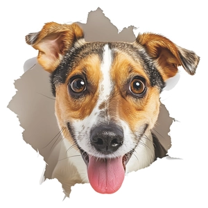 3D Jack Russell dog head sticker with creative torn paper hole effect for wall or car