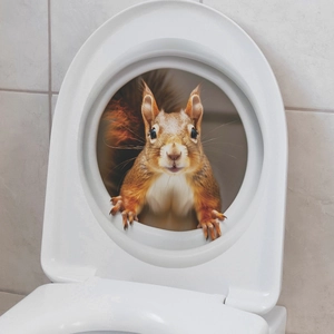 Realistic 3D red squirrel wall sticker applied on a white toilet lid for bathroom decor
