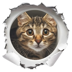 3D hole effect wall sticker with realistic brown tabby cat peeping through torn paper