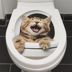 3D cat toilet sticker with cute orange tabby kitten popping out of a white toilet lid
