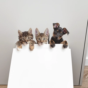 Detail of cute puppy and kittens peering over a white wall for home bathroom wall stickers