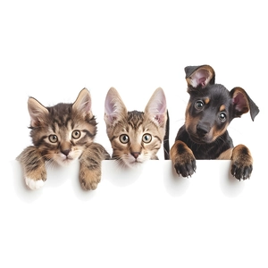 Cute cartoon puppy and kittens decorative wall stickers for bathroom and home decor