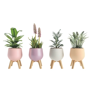 Set of 4 Nordic style potted plant wall stickers with colorful pots and wooden stands