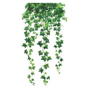 Hanging artificial green ivy vines with heart-shaped leaves for wall decoration