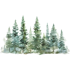 Watercolor evergreen pine forest wall stickers for minimalist bedroom decor on white background