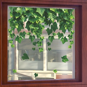 Fresh green ivy plant static window decals for home glass decoration and aesthetics