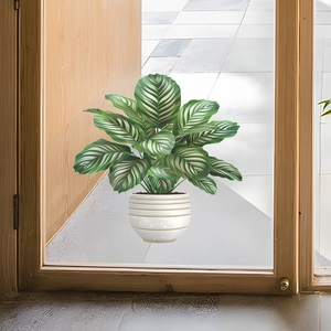Detail view of Calathea plant window sticker with white pot on glass door surface
