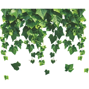 Green ivy vine static glass window sticker with lifelike leaves on white background
