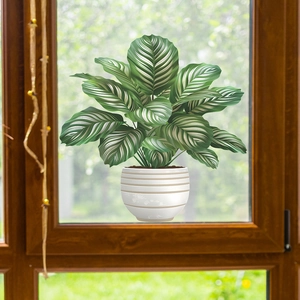 Green potted calathea plant window static sticker for home glass decoration