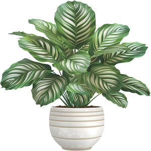 Artistic Calathea Orbifolia potted plant static UV window sticker for home decor