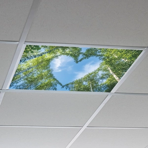 Cloud dolphin heart heart sky ceiling mural with birch forest scene for home decor