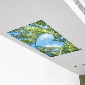 Detailed ceiling mural showing heart-shaped birch tree leaves against a clear blue sky