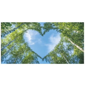 Detail of heart-shaped canopy formed by green birch trees against a clear blue sky