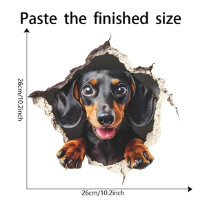 Λεπτομέρεια 3D αυτοκόλλητου τοίχου dachshund με διαστάσεις προϊόντος 26x26cm