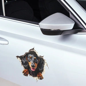 Κοντινό πλάνο 3D αυτοκόλλητου σκύλου dachshund με εφέ τρύπας σε ασημί χρώμα αυτοκινήτου