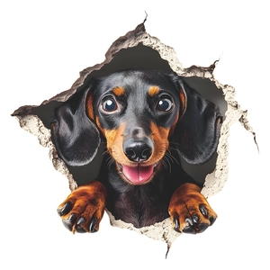 3D αυτοκόλλητο τοίχου σκύλος dachshund με εφέ τρύπας για διακόσμηση παραθύρων σπιτιού και αυτοκινήτου
