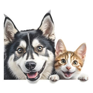 Peeking Husky puppy and ginger kitten window stickers with realistic fur detail