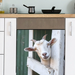 Kitchen sticker showing a cute white lamb peeking over fence on a white dishwasher door