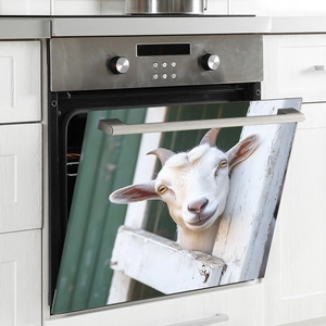 Cute lamb oven magnet sticker with white rustic fence and vintage green wood background