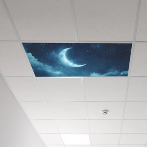 Starry night sky ceiling wall sticker with moon and stars for home decoration