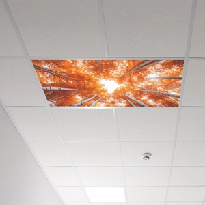 Autumn red maple forest ceiling light cover sticker for living room and bedroom decor