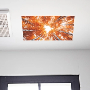 Autumn golden forest ceiling sticker with perspective trees for home decoration