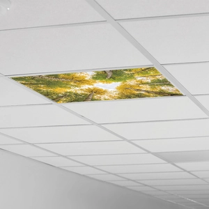 Macro view of birch forest ceiling sticker installed on white grid ceiling panels