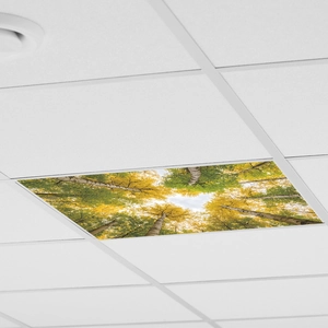 Autumn forest canopy ceiling light covers for office or bedroom skylight decoration