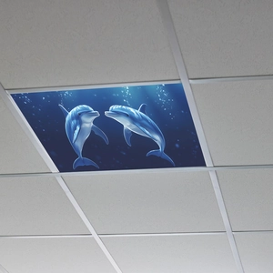 Détail du film décoratif de plafond monde marin avec dauphins et effets de lumière bleue