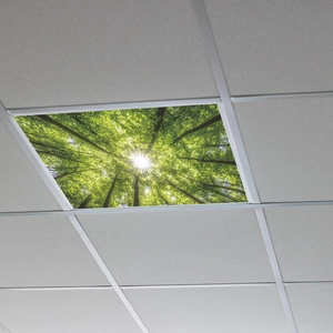 Detailed macro view of an LED ceiling light panel with a lush forest and sunlight pattern
