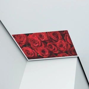 Detailed macro view of red rose wall decal with water droplets on a geometric background
