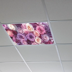 Detail showing the floral rose pattern stickers on a ceiling grid panel for home decor
