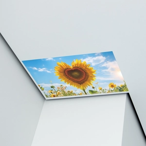 Détail d'un sticker mural tournesol en forme de cœur sur fond de ciel bleu