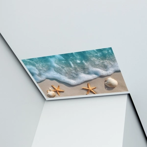 Dettaglio dell'adesivo murale spiaggia con stelle marine e conchiglie su base bianca
