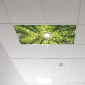 Nature forest ceiling skylight sticker panel for office and home interior decoration