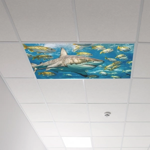 Stickers muraux réalistes de requin océanique pour plafond et décoration de salon ou chambre
